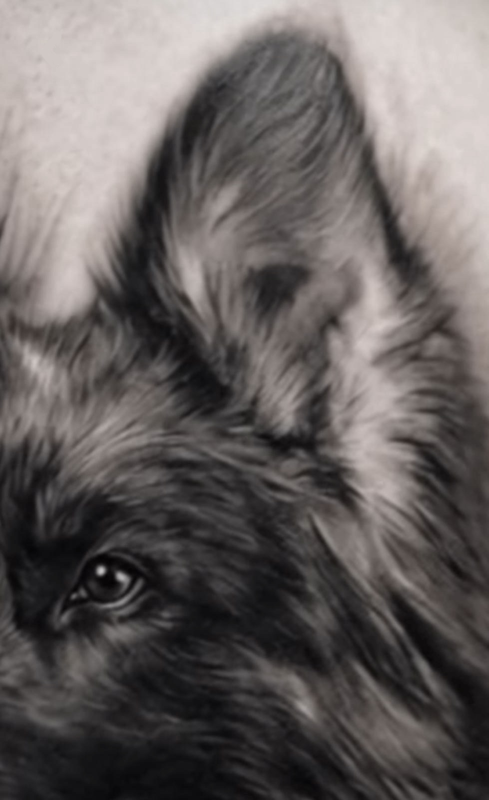 Zwart-grijs realistische wolventattoo, close-up, sfeerbeeld tattoo-kunst